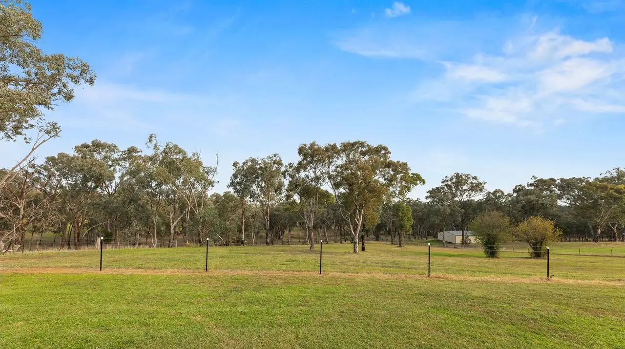 Fenced green paddock with mature gum trees along the far boundary