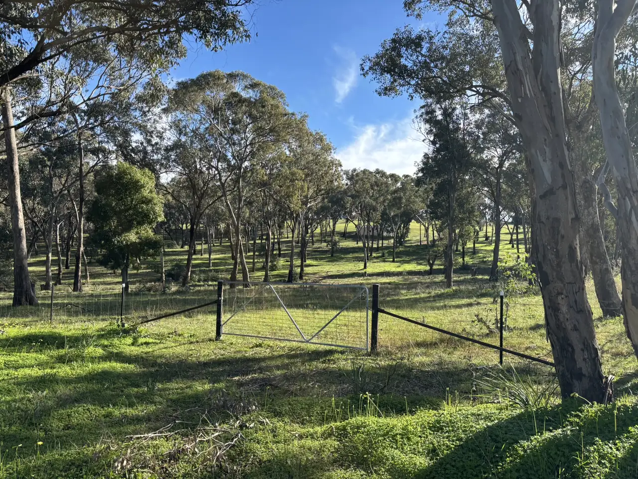 A farm gate in a wire fence opening onto grassy woodland with tall eucalypts
